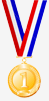 Medal Icon